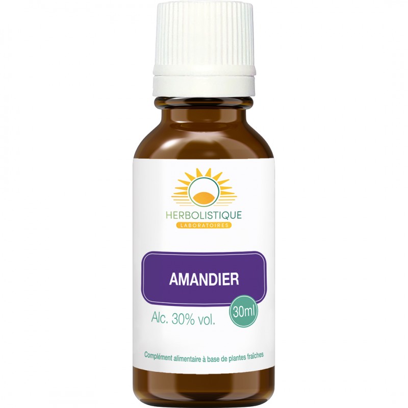 AMANDIER