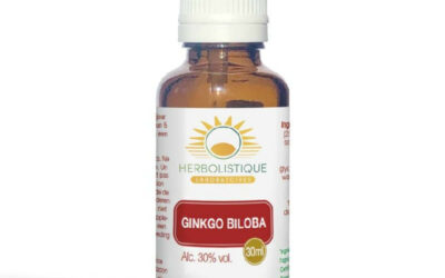 Ginkgo Biloba jeunes pousses