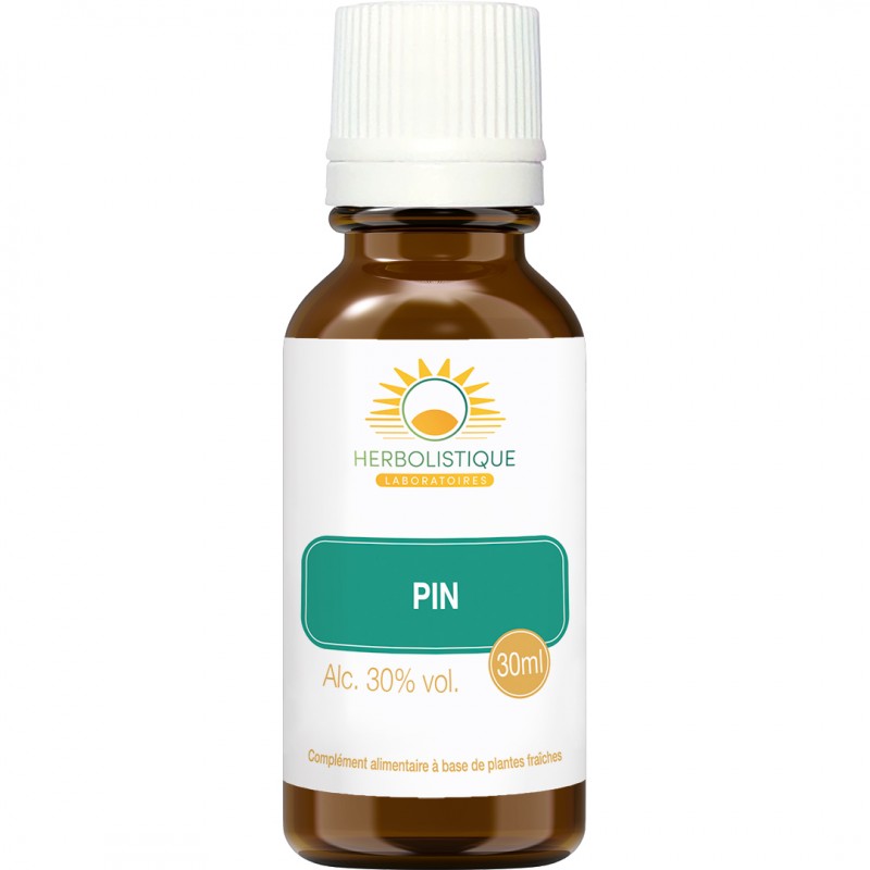 PIN bourgeons