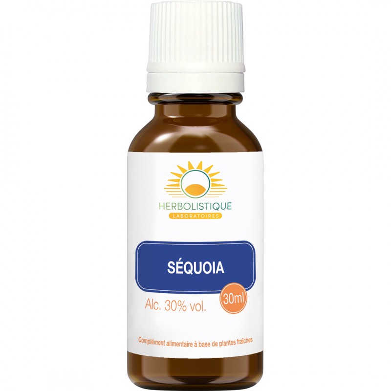 SEQUOIA jeunes pousses