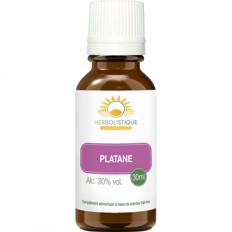 PLATANE bourgeons