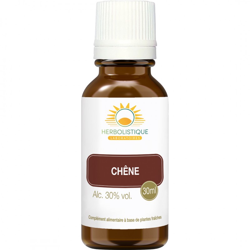 CHÊNE bourgeons