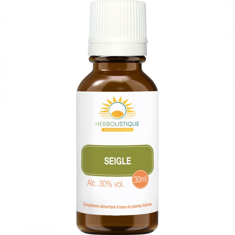 SEIGLE radicelles