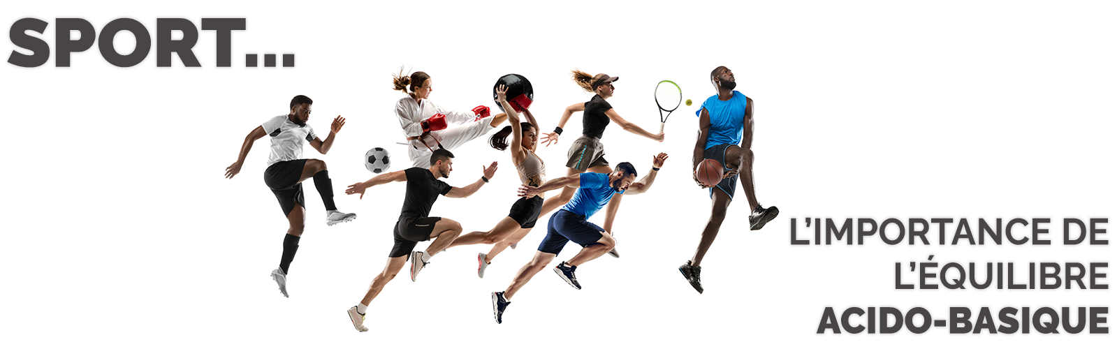 Phytonutrition du sportif