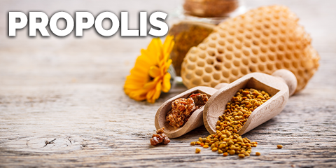 Propolis