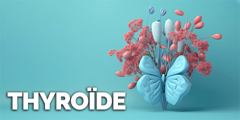 Thyroïde