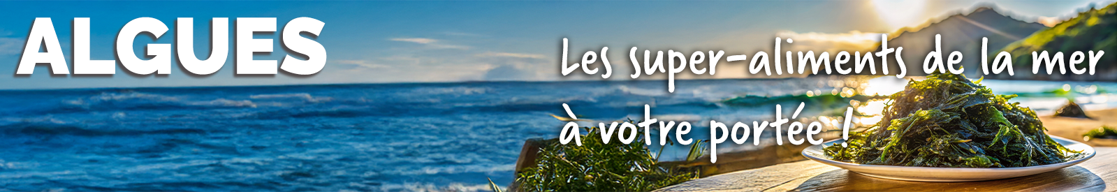 Algues recettes
