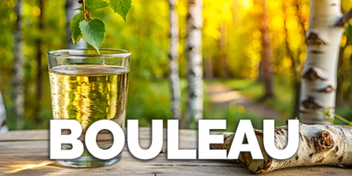 Bouleau