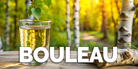 Bouleau