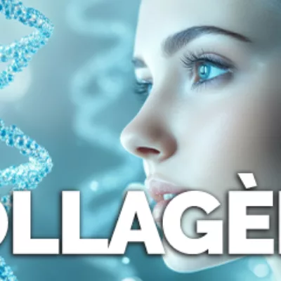 Collagène
