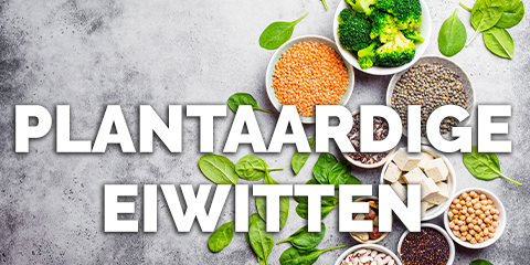Recept plantaardige eiwitten