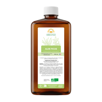 1001_Aloe-ficus