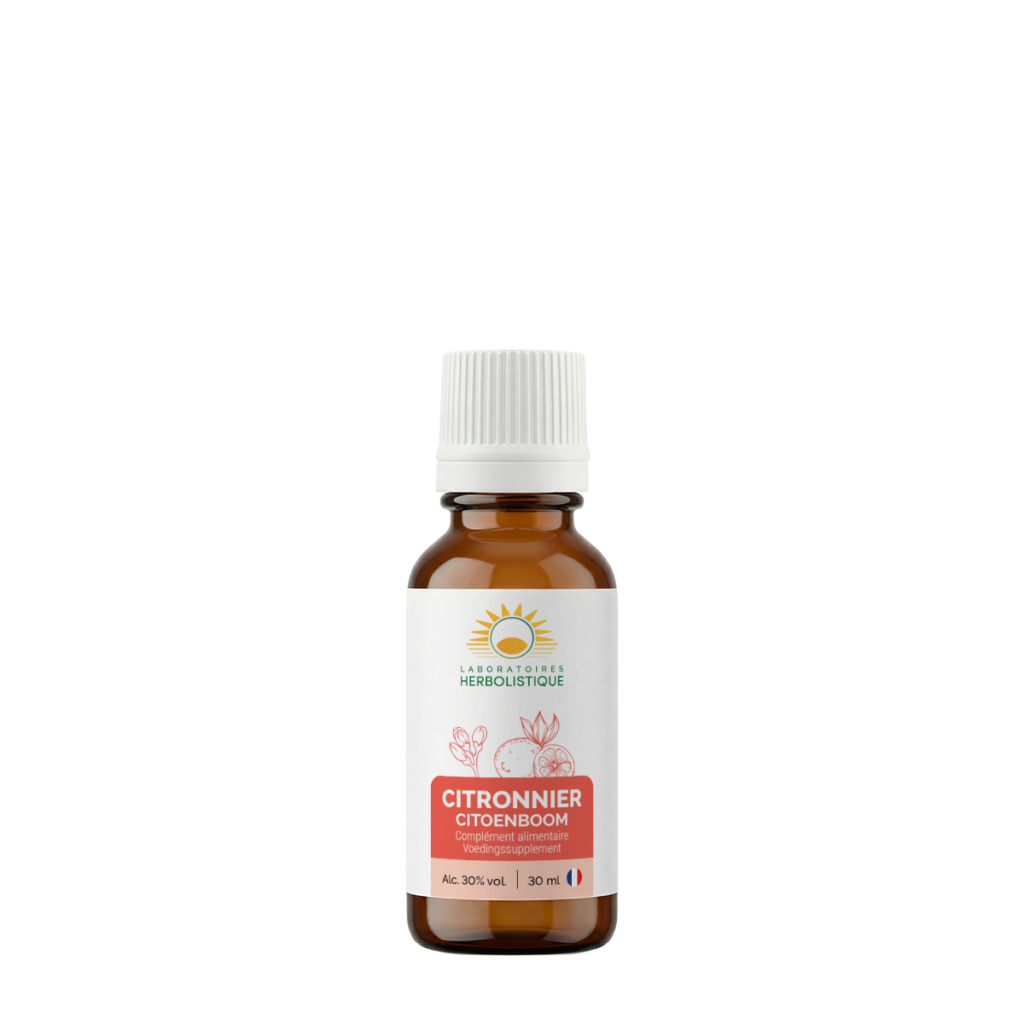 1030_Citronnier
