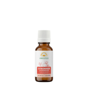 1030_Citronnier