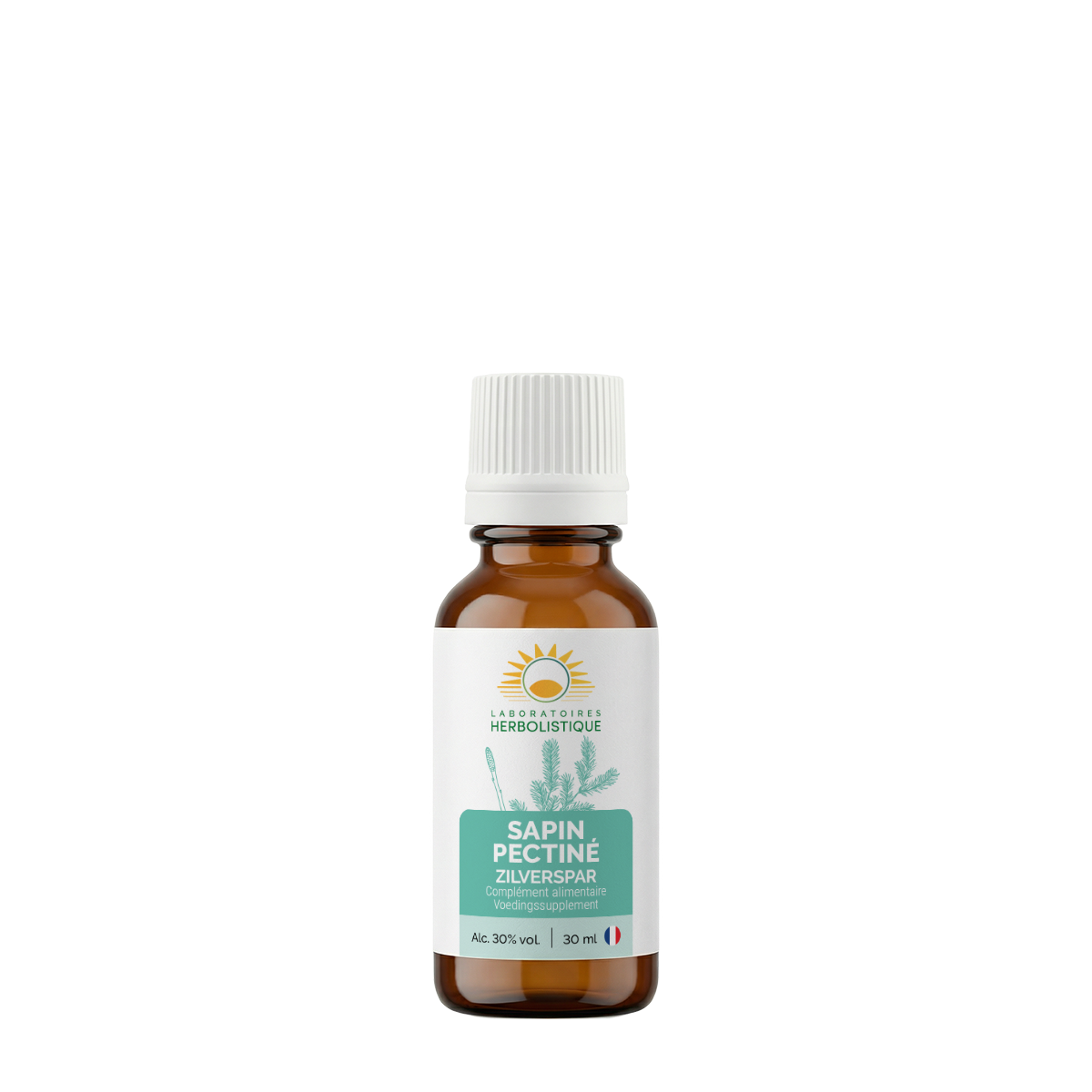 1048_Sapin-pectine