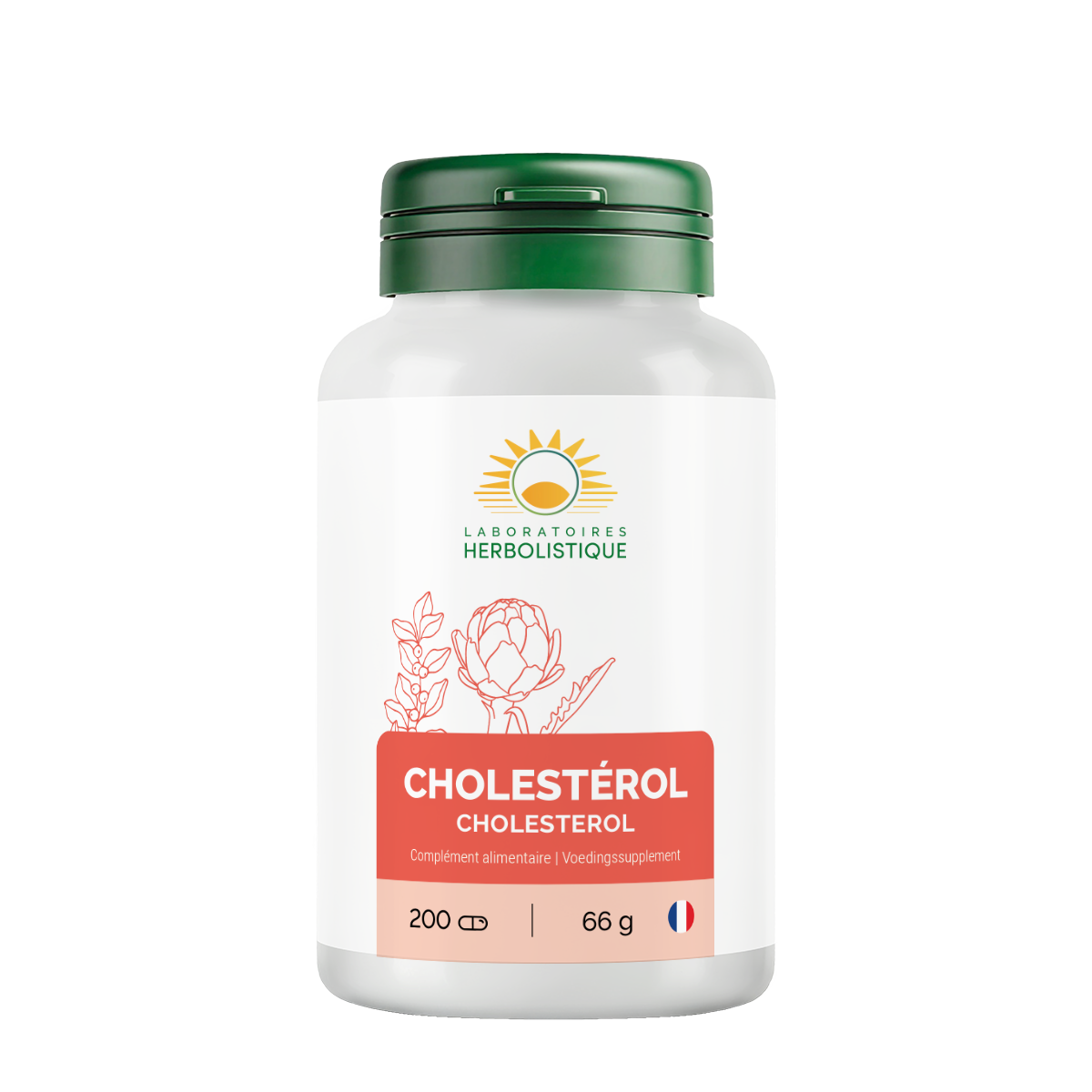 104_Cholesterol