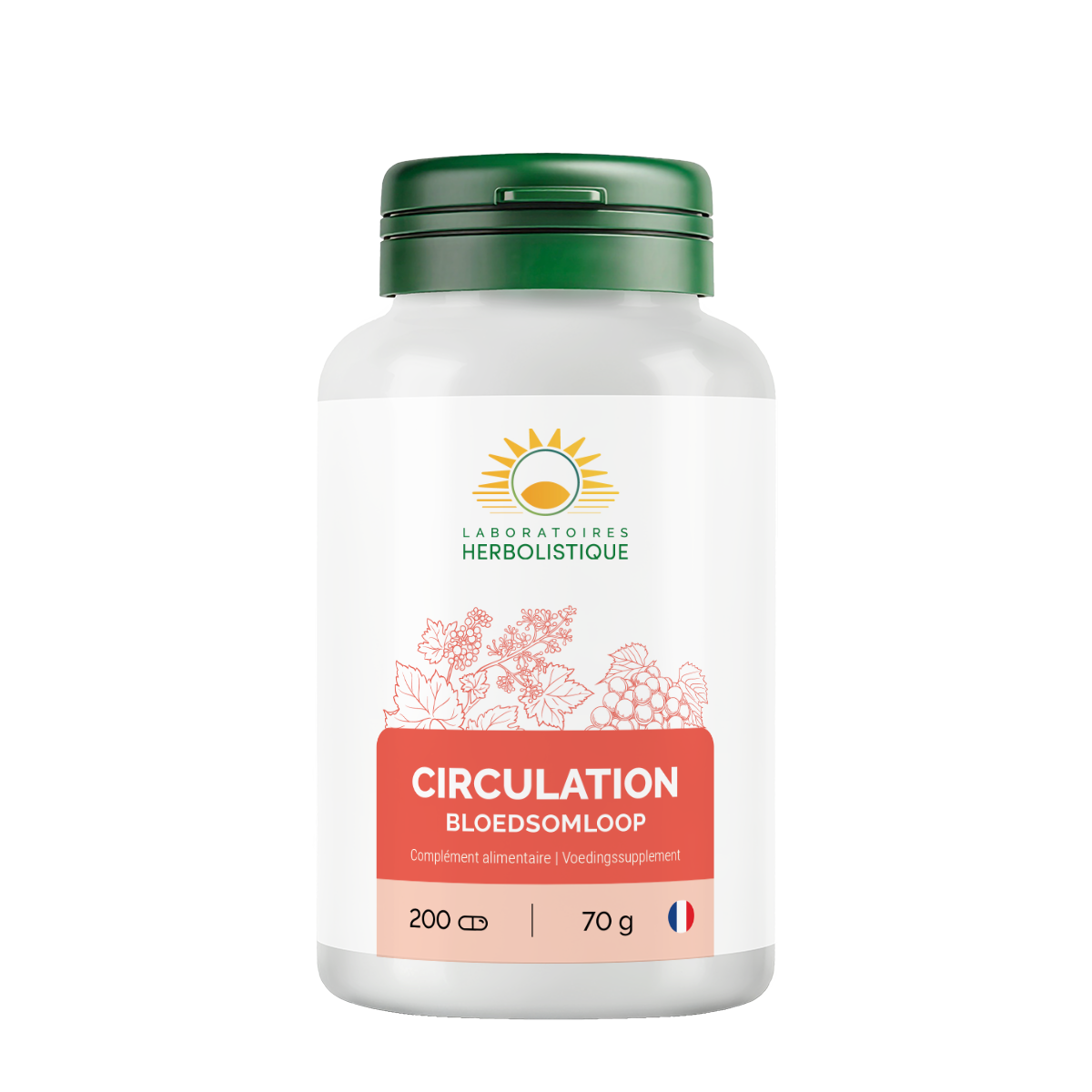 105_Circulation