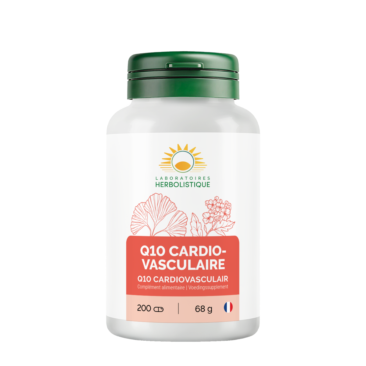141_Q10-Cardio-vasculaire