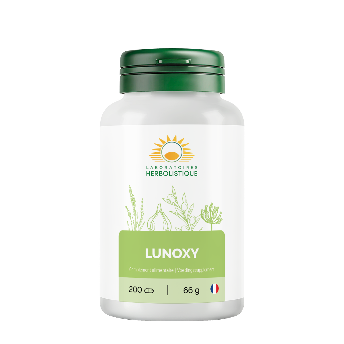 155_Lunoxy