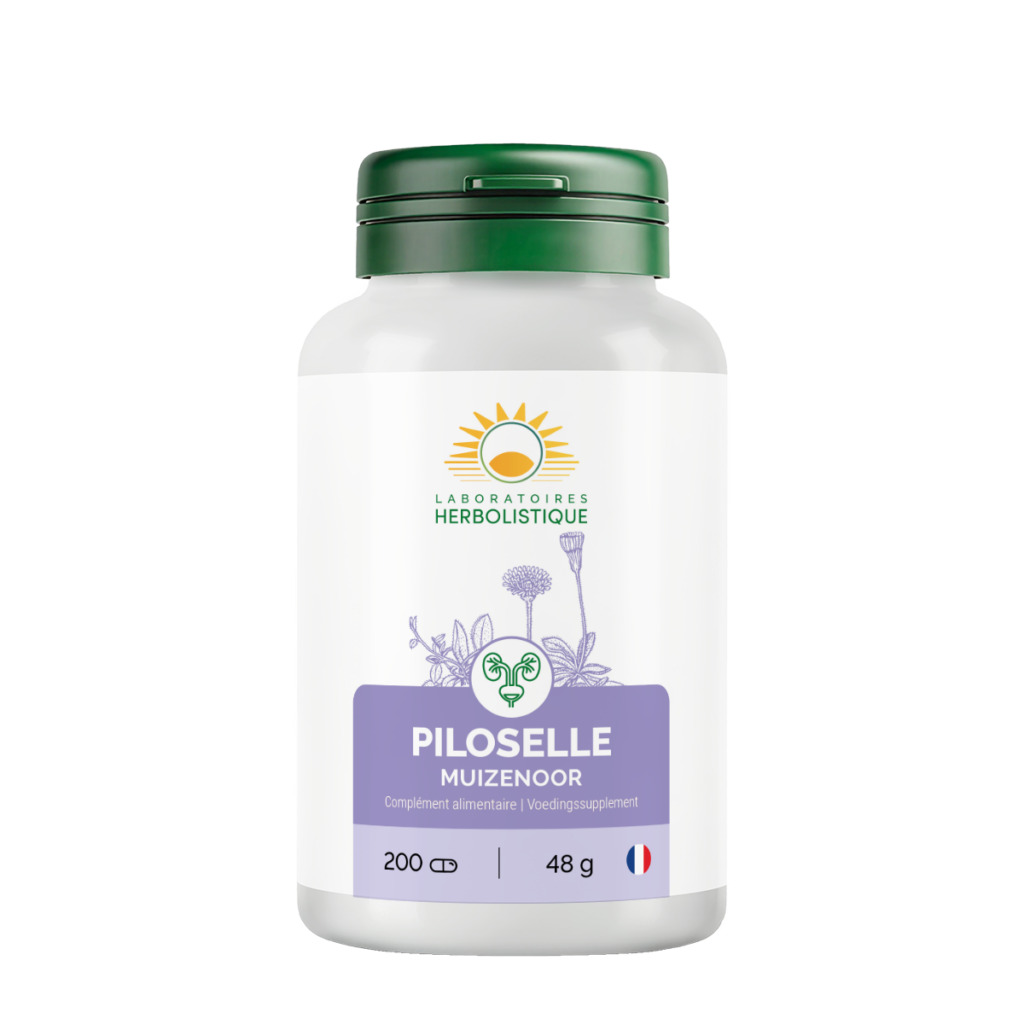 207_Piloselle