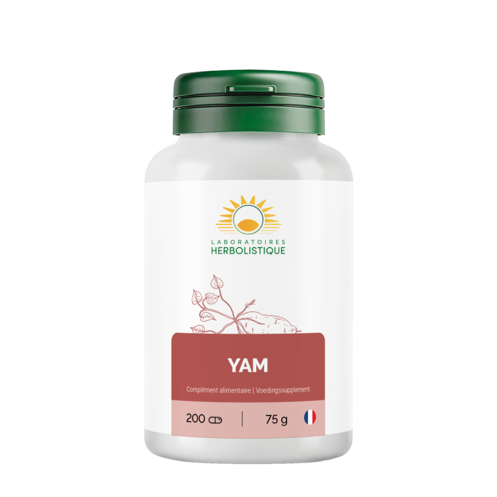 317_Yam