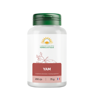 317_Yam