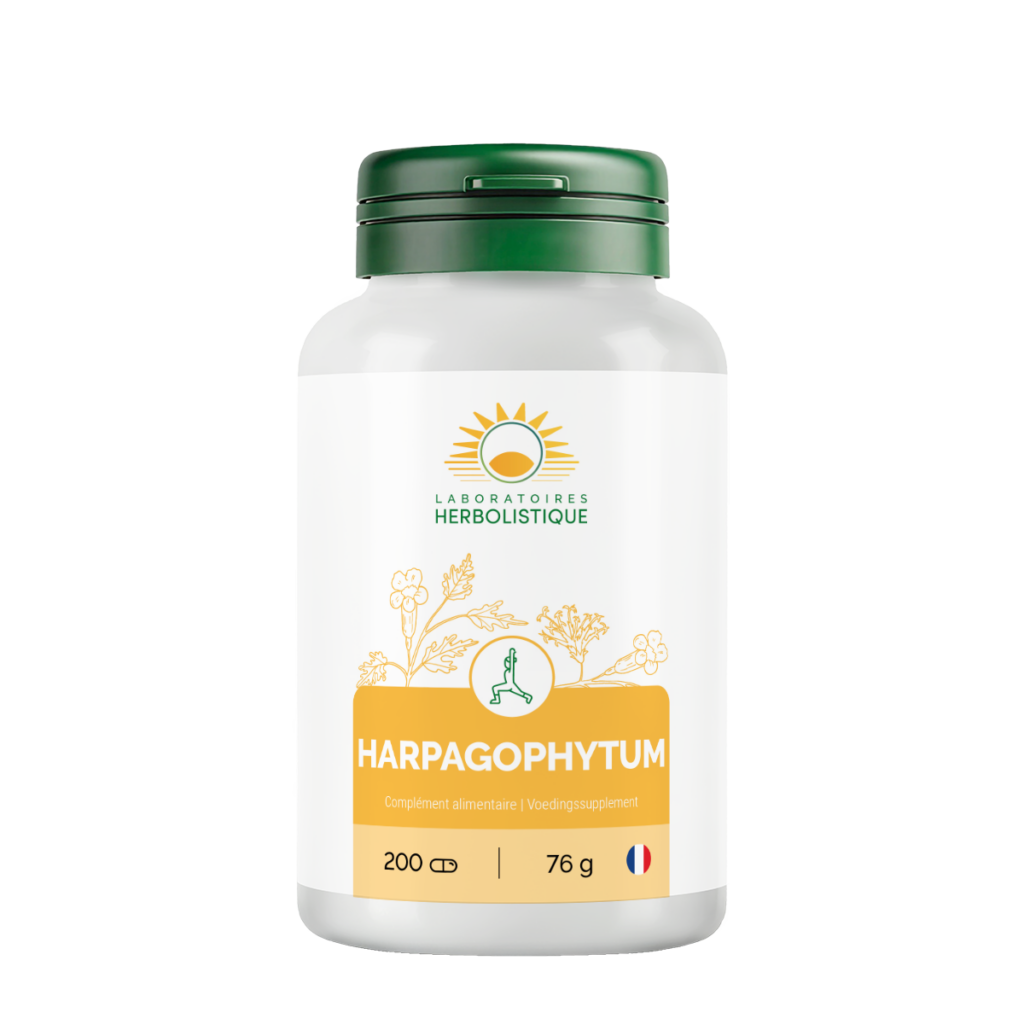 322_Harpagophytum