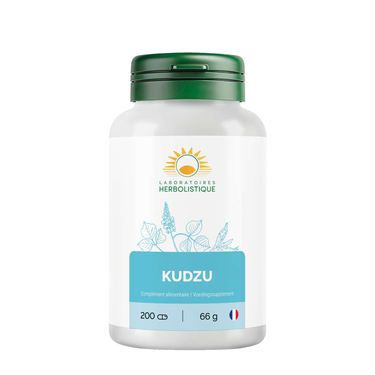 329_Kudzu