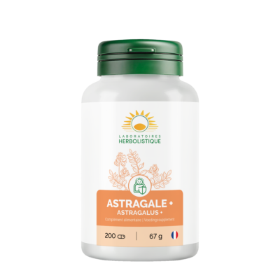 331_Astragale