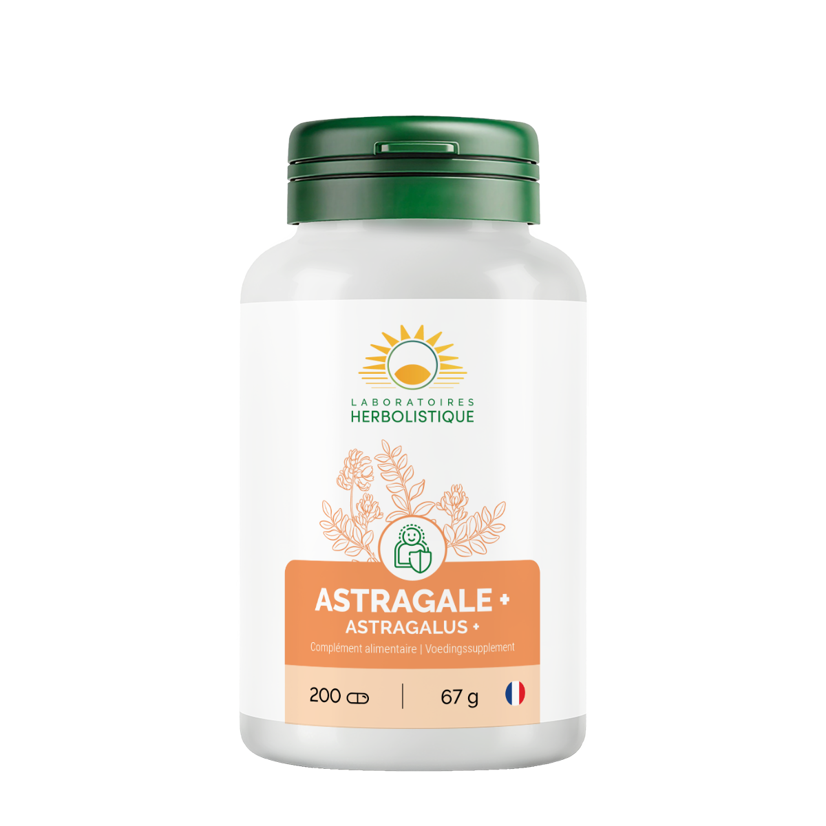 331_Astragale