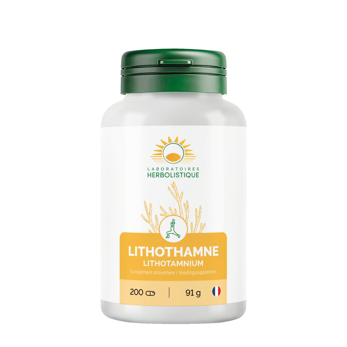 406_Lithothamne